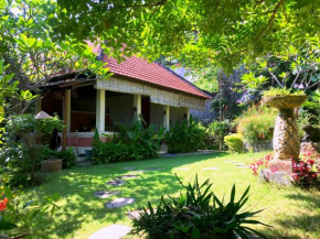 Villa Sarah Nafi, amazing ocean views